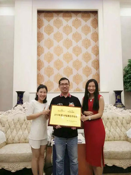 泰詩(shī)爾——百度VIP戰(zhàn)略合作伙伴!