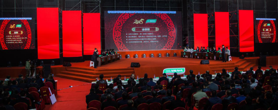 全體三棵樹(shù)人的文化盛宴，三棵樹(shù)年會(huì)隆重召開(kāi)！