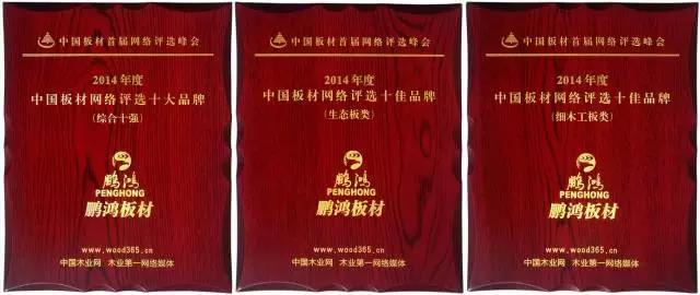 鵬鴻實(shí)力再獲肯定，蟬聯(lián)木業(yè)網(wǎng)2017年度“生態(tài)板十大品牌”