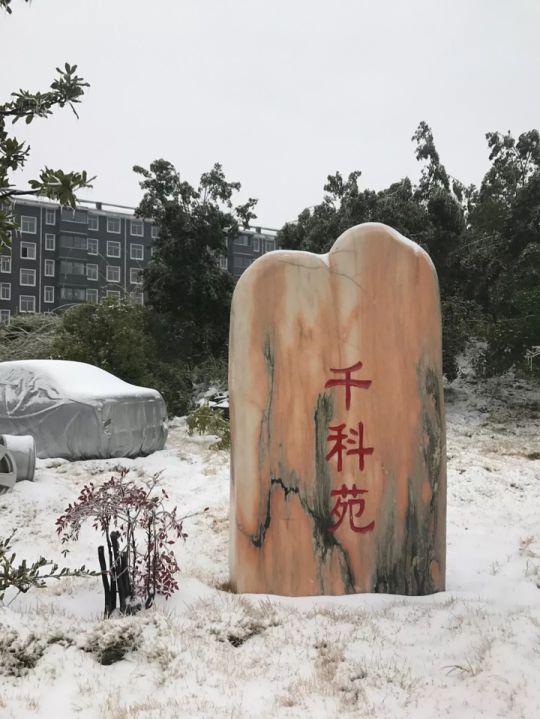 千科潘遠(yuǎn)宏：智能產(chǎn)品、智慧營(yíng)銷(xiāo)一手抓，智能終端是品牌最后浪潮