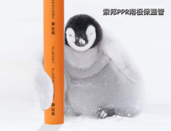 品牌產品|索邦PPR南極保溫管，企鵝寶寶最愛的高端管材