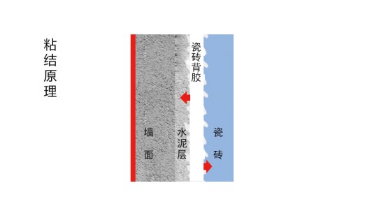 瓷磚背膠粘與不粘，不能作為產品好壞及產品質量的依據