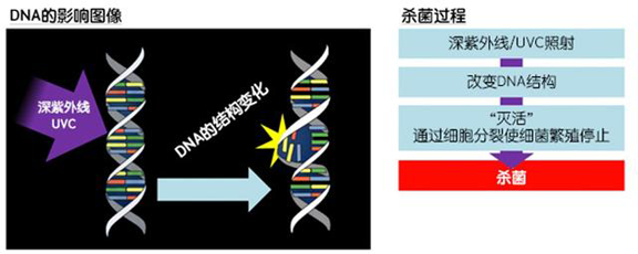 消費者開始關(guān)注到車載空氣凈化器，原來如此重要