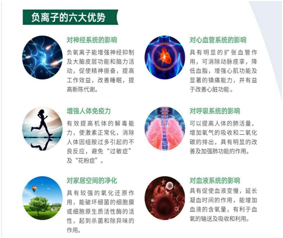 福臨板材實錘“科普”：健康板材盛勢開賣，三大標準賦能生態
